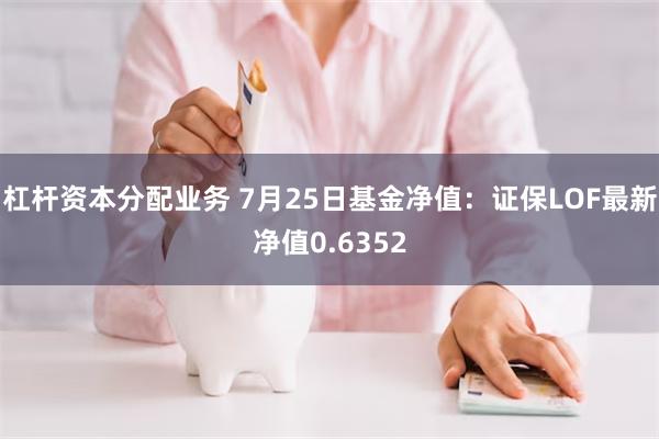 杠杆资本分配业务 7月25日基金净值：证保LOF最新净值0.6352