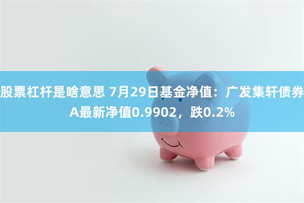 股票杠杆是啥意思 7月29日基金净值：广发集轩债券A最新净值0.9902，跌0.2%