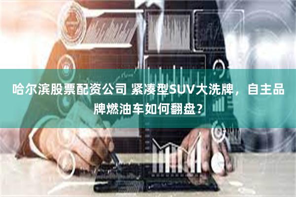 哈尔滨股票配资公司 紧凑型SUV大洗牌，自主品牌燃油车如何翻盘？