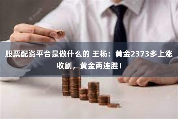 股票配资平台是做什么的 王杨：黄金2373多上涨收割，黄金两连胜！