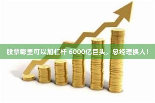 股票哪里可以加杠杆 6000亿巨头，总经理换人！