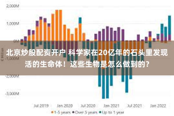 北京炒股配资开户 科学家在20亿年的石头里发现活的生命体！这些生物是怎么做到的？