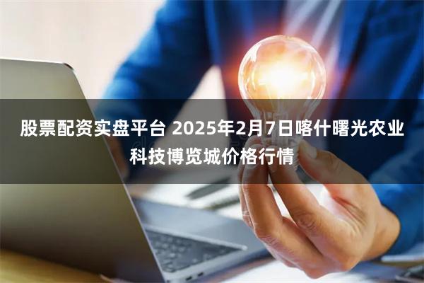 股票配资实盘平台 2025年2月7日喀什曙光农业科技博览城价格行情